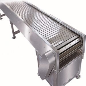 Chain Conveyor